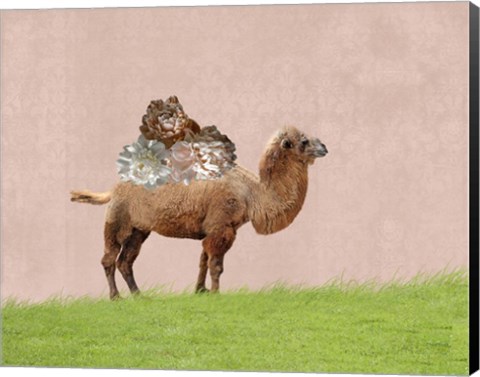 Framed Camel on Pink Print