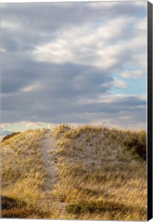 Framed Dunes Trail Print