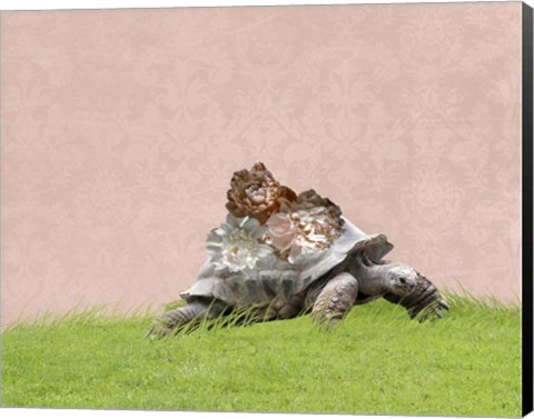 Framed Tortoise on Pink Print