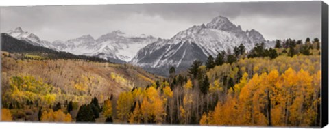 Framed Colorado, San Juan Mountains, Panoramic Of Storm Over Mountain And Forest Print