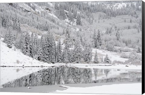 Framed Colorado, Maroon Bells State Park, Autumn Snowfall On Mountain And Maroon Lake Print