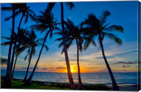 Framed Sunset And Silhouetted Palm Trees, Kihei, Maui, Hawaii Print