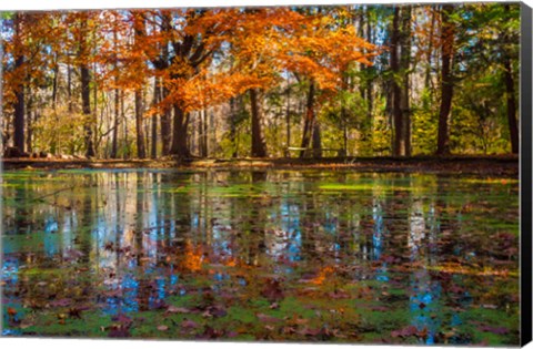 Framed Fall Foliage Reflection In Lake Water Print