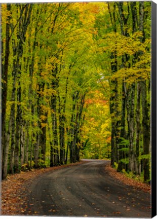 Framed Covered Road Near Houghton, Michigan Print