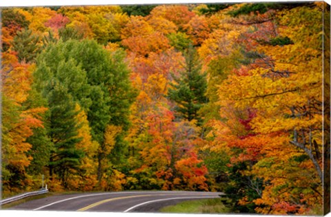 Framed Autumn Color Along Highway 26 Near Houghton, Michigan Print