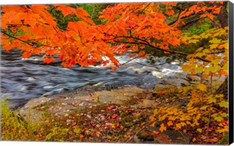 Framed Sturgeon River In Autumn Near Alberta, Michigan Print