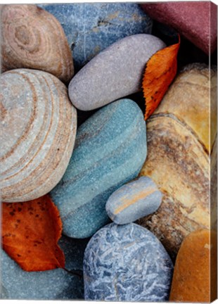 Framed Colorful River Rocks Along The Middle Fork Of The Flathead River, Glacier National Park, Montana Print