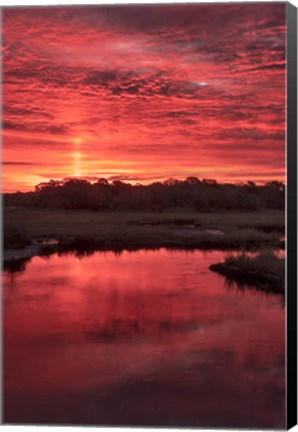 Framed New Jersey, Cape May, Sunrise On Creek Print