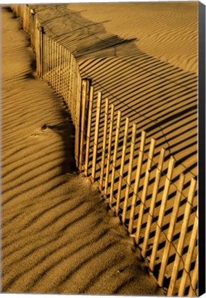 Framed New Jersey, Cape May, Fence Shadow On Shore Sand Print