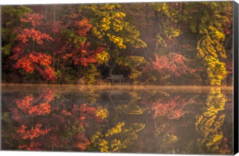 Framed New Jersey, Belleplain State Fores,t Autumn Tree Reflections On Lake Print