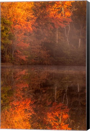 Framed New Jersey, Belleplain State Forest, Autumn Tree Reflections On Lake Print