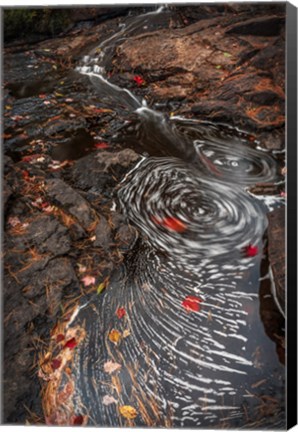 Framed New York, Adirondack State Park Stream Eddies Print