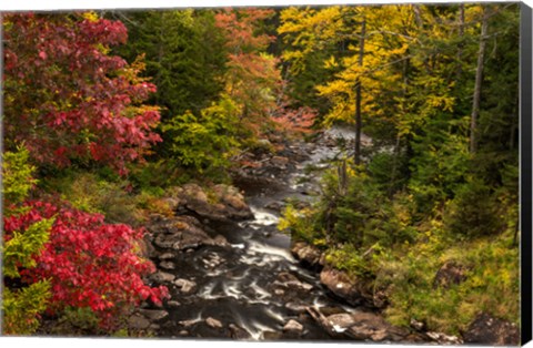 Framed New York, Adirondack State Park Stream And Forest In Autumn Print