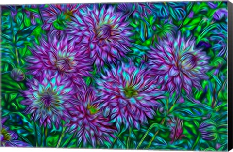 Framed Oregon, Shore Acres State Park, Abstract Of Dahlias In Garden Print