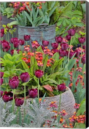 Framed Colorful Planters At Entrance To Chanticleer Garden, Pennsylvania Print