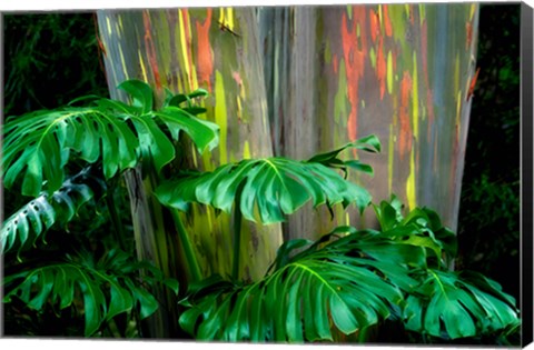 Framed Tropical Leaves Print