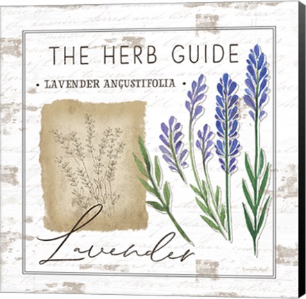 Framed Herb Guide - Lavender Print