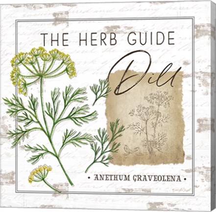 Framed Herb Guide - Dill Print