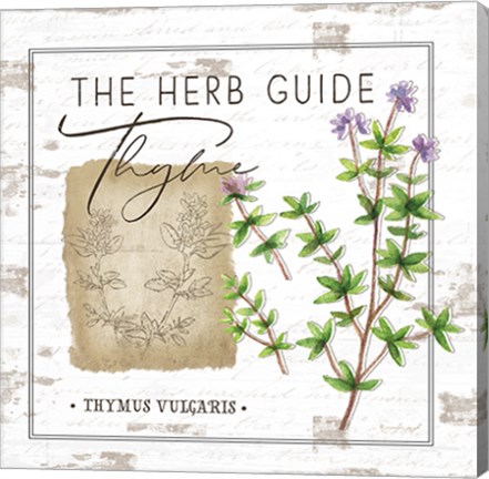 Framed Herb Guide - Thyme Print