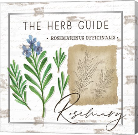 Framed Herb Guide - Rosemary Print