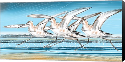 Framed Birds Print