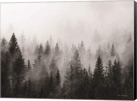 Framed Forest Print