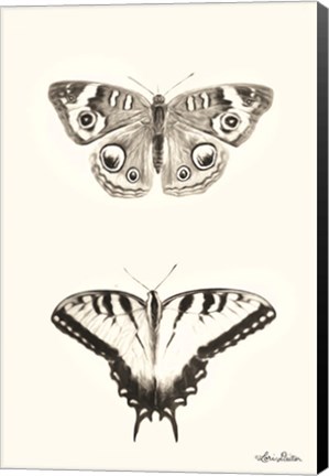 Framed Butterflies Print