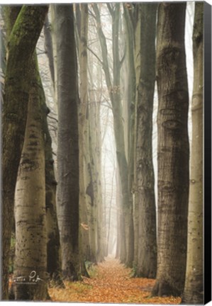 Framed Narrow Alley in the Netherlands Print