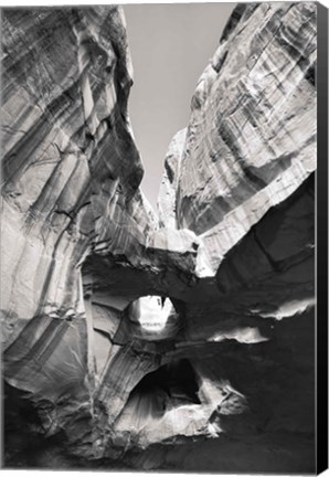 Framed Neon Canyon I BW Print