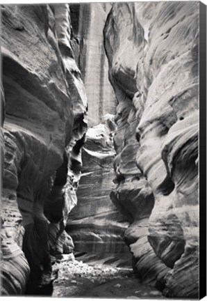 Framed Buckskin Gulch IV BW Print