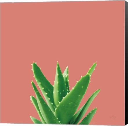 Framed Succulent Simplicity V Coral Print