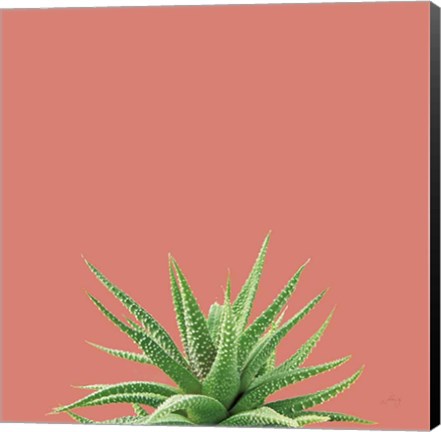 Framed Succulent Simplicity I Coral Print