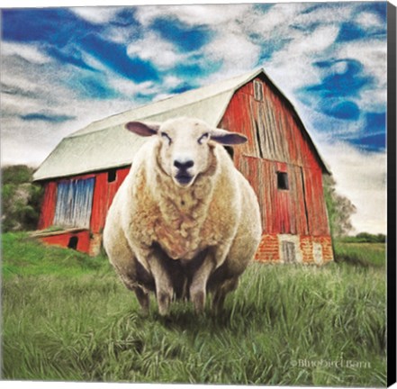 Framed Sunday Afternoon Sheep Pose Print