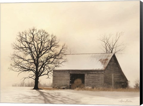 Framed Winter Shadows Print