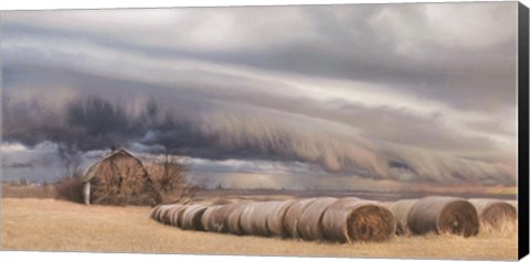 Framed Tornado Warning Print