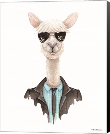 Framed Alpaca in Aviators Print