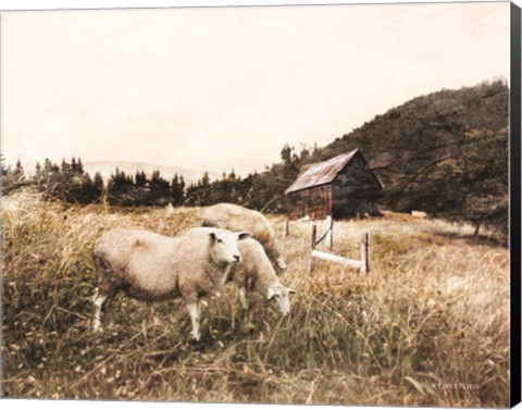 Framed Sheep in the Meadow Print