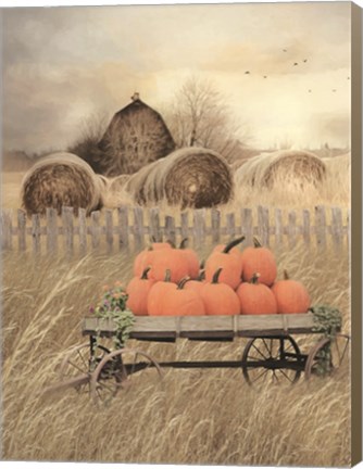 Framed Pumpkin Harvest Print