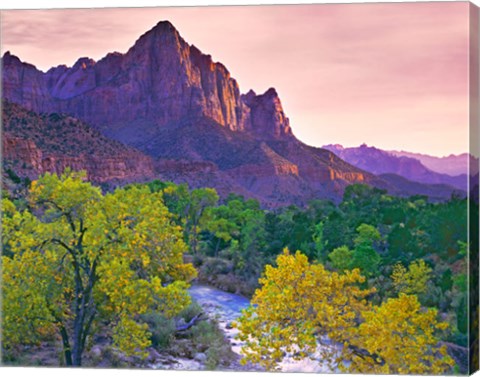 Framed Utah, Zion National Park The Watchman Formation And The Virgin River In Autumn Print