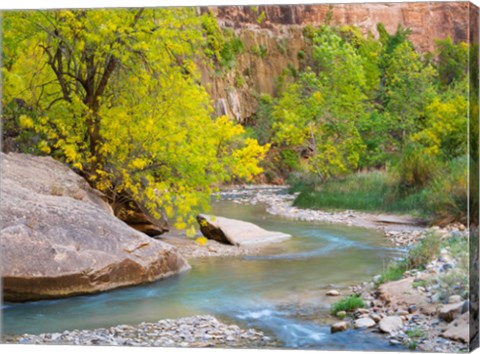 Framed Utah Zion National Park, Virgin River Print