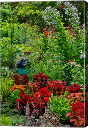 Framed Garden Summer Flowers And Coleus Plants In Bronze And Reds, Sammamish, Washington State Print