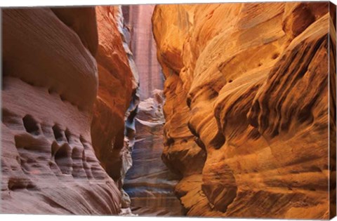 Framed Buckskin Gulch V Print