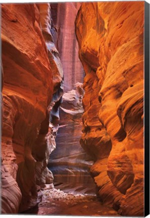 Framed Buckskin Gulch IV Print