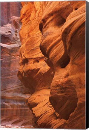 Framed Buckskin Gulch III Print