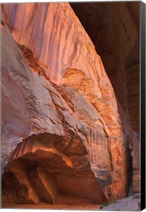 Framed Buckskin Gulch II Print