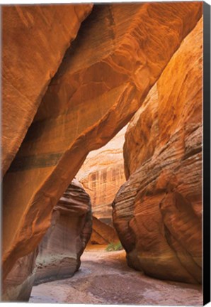 Framed Buckskin Gulch I Print