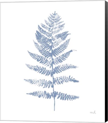 Framed Fern Print II Blue No Shiplap Print