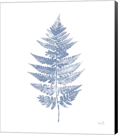 Framed Fern Print I Blue No Shiplap Print