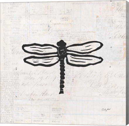 Framed Dragonfly Stamp BW Print