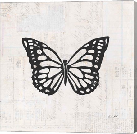 Framed Butterfly Stamp BW Print